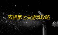 双相第七关游戏攻略
