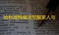 哈利波特魔法觉醒家人与朋友通关攻略