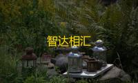 智达相汇