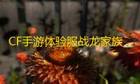 CF手游体验服战龙家族喜添新成员 ，快来看看是哪两位英豪