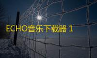 ECHO音乐下载器 1.7 免费版